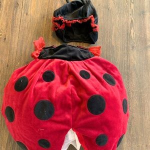 Ladybug Costume